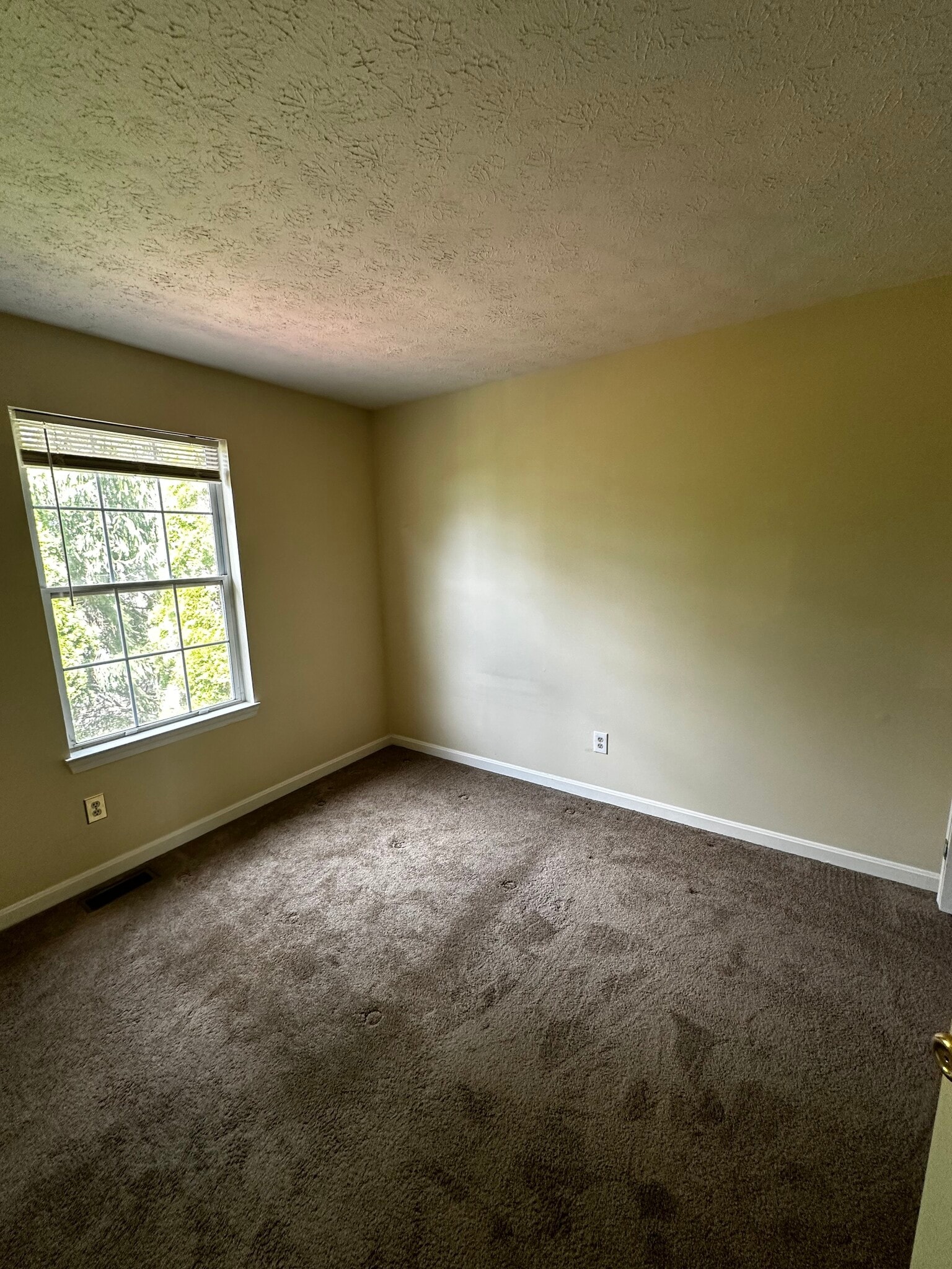 Building Photo - 1227 Athens Ct