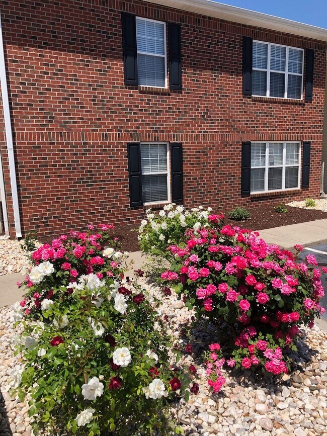 Building Photo - Stress-Free Beach Living with our pet frie...