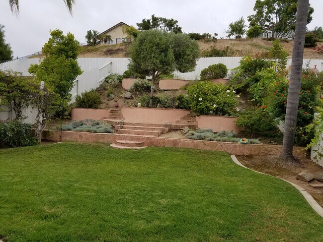 Building Photo - 1446 Portofino Dr