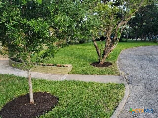 Building Photo - 920 Encino Dr