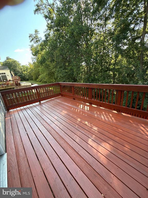 Building Photo - 15154 Brazil Cir