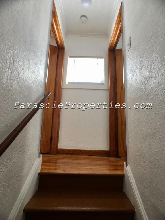 Building Photo - 704 Cooney St