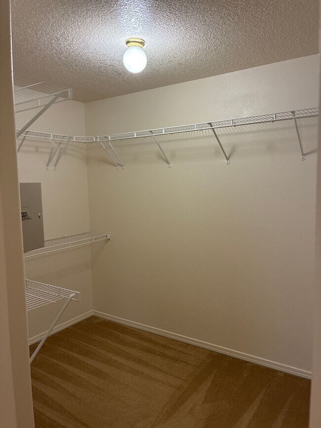 Building Photo - large 3 br+ loft