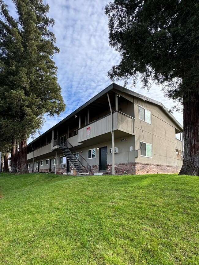 Building Photo - Move-In Special; Downstairs One Bedroom + Private Patio – Available Now! SEE VIDEO