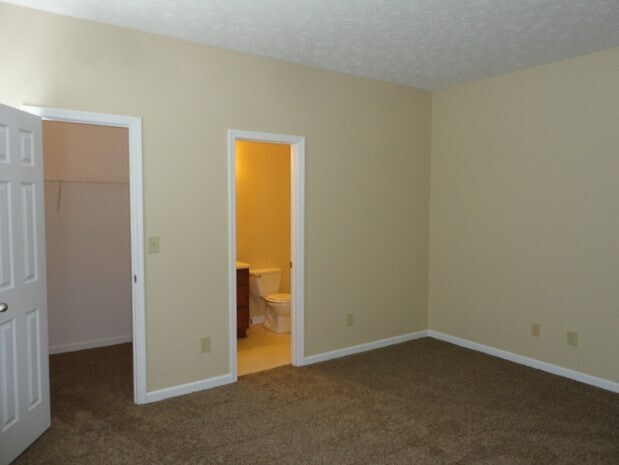 Building Photo - 1319 Fiesta Dr