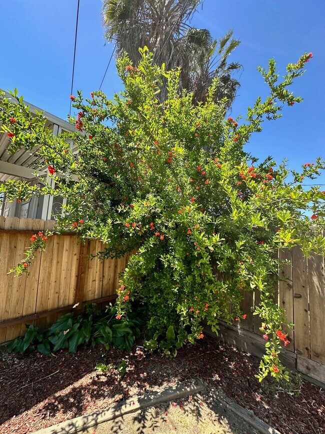 Building Photo - Charming home for rent in Hanford
