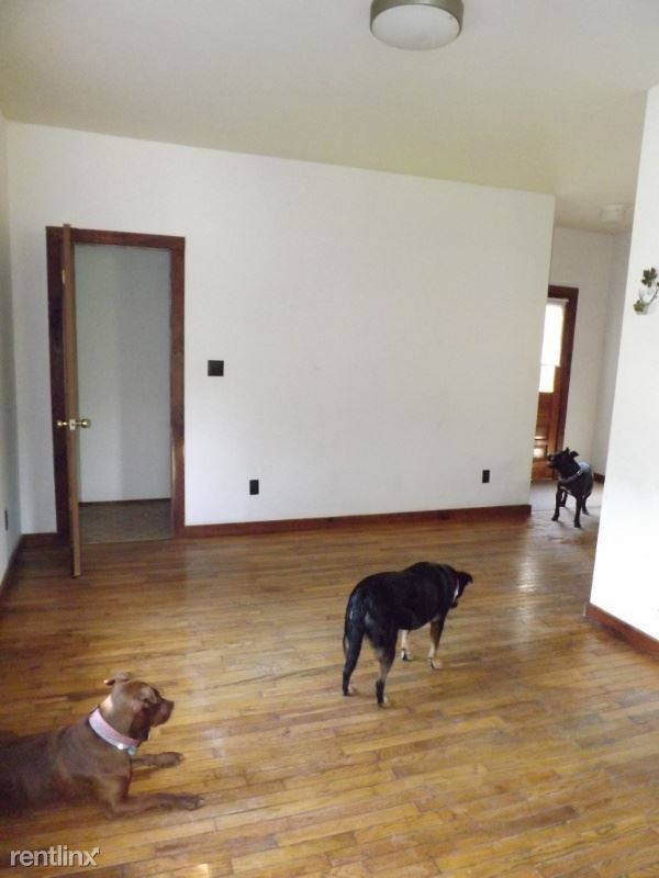 Building Photo - 1 br, 1 bath House - 172 German Hill Rd