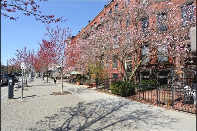 Building Photo - 922 Beacon St
