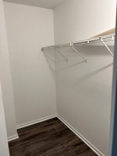 Building Photo - 509 Aurora Ave