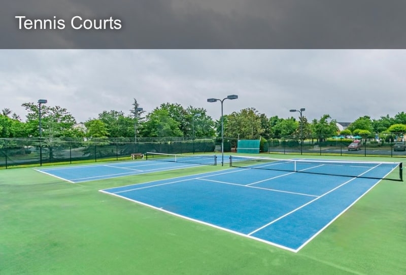 Building Photo - 2719 Thornbush Ct