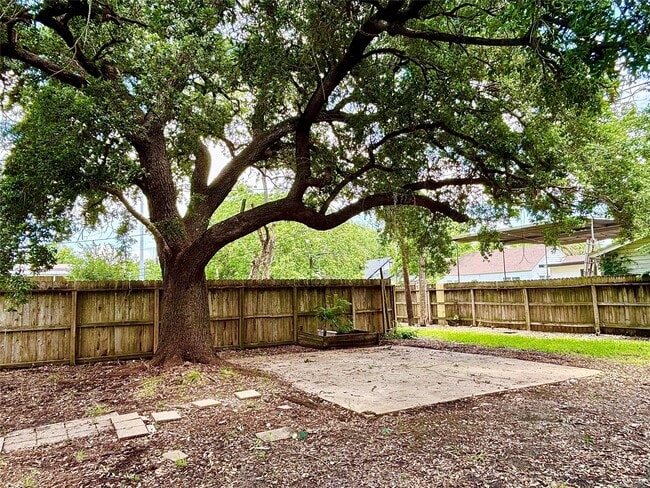 Building Photo - 317 San Jacinto St