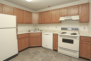 Interior Photo - Hemlock Pines