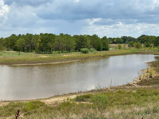 Building Photo - 24415 Lakecrest Town Dr