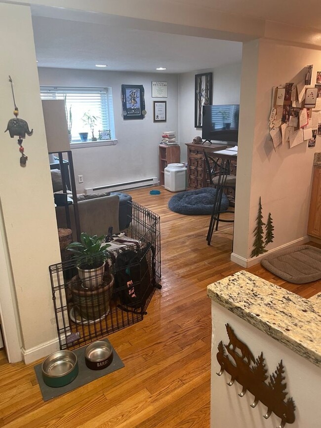 Building Photo - 1 Bedroom Brighton Apartment on MBTA/Green Line
