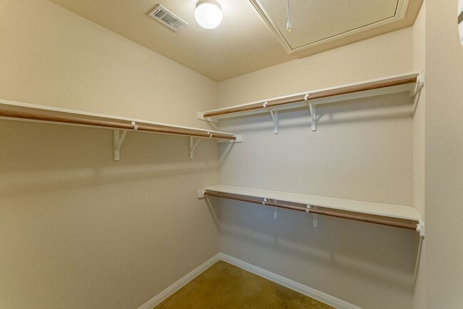 Building Photo - Stunning 3 bedroom/3 bathroom House in Austin!!!