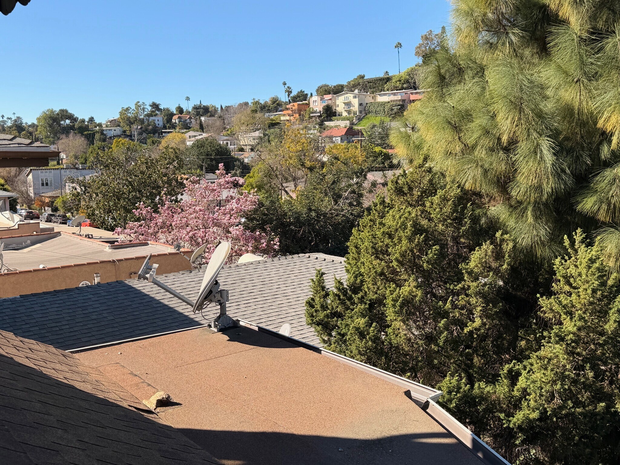 Building Photo - 1826 Silver Lake Blvd