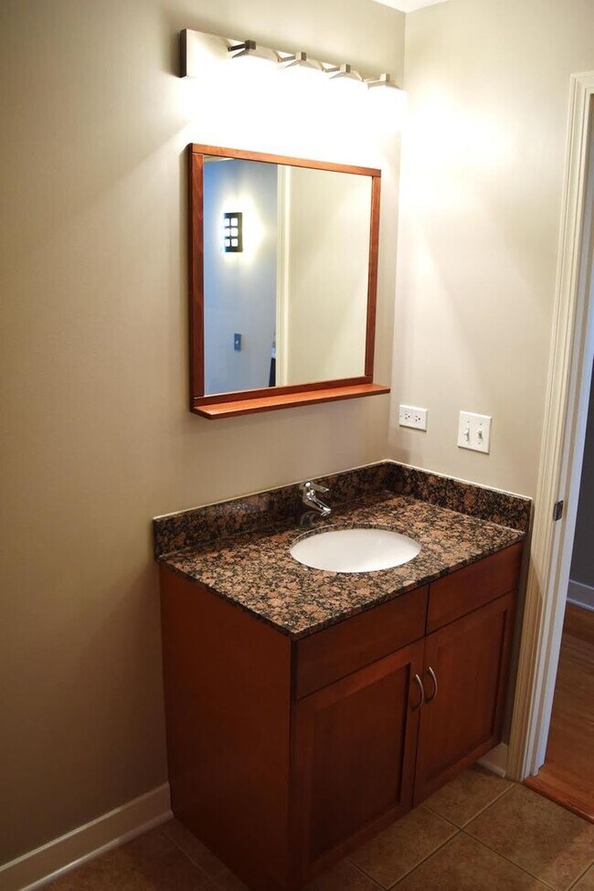 Building Photo - South Loop Chicago 1 Bed 1 Bath Apartment