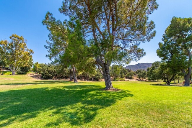 Building Photo - 28763 Conejo View Dr