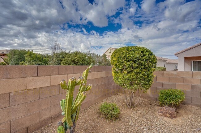 Building Photo - 316 W Sunrise Vista Dr