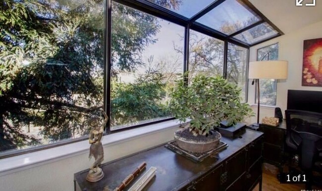 Bay window in living room. - 1810 K St