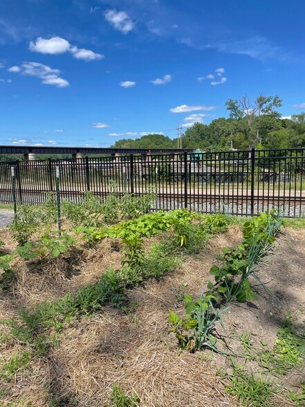 Grab vegetables from the shared garden - 918 N Main St