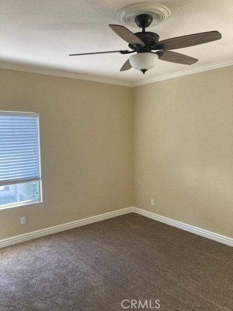 Building Photo - 20 Melrose Dr