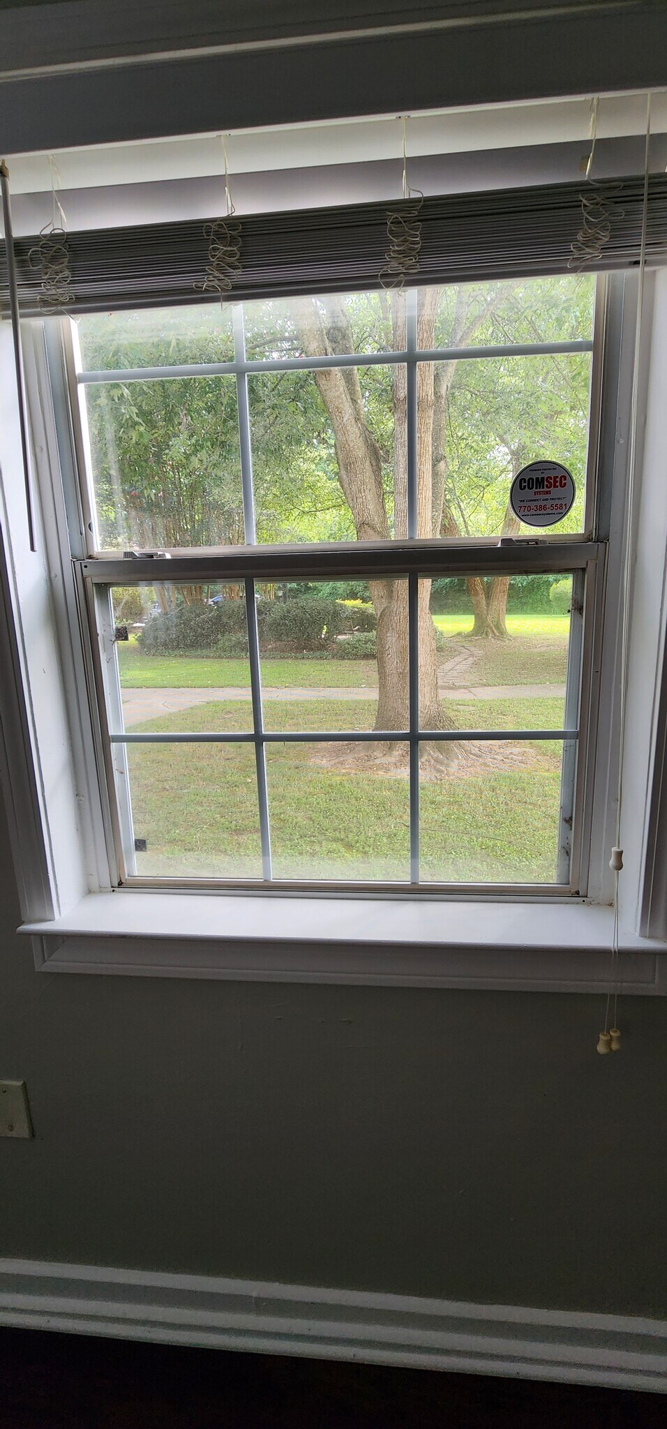 View from living room - 415 Willow Ln