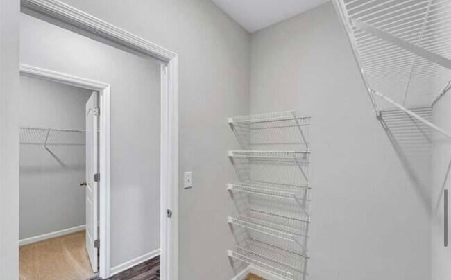 Master Walk In Closets (2) - 109 Fellington Ct