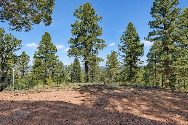 Building Photo - 28 Ponderosa Cir