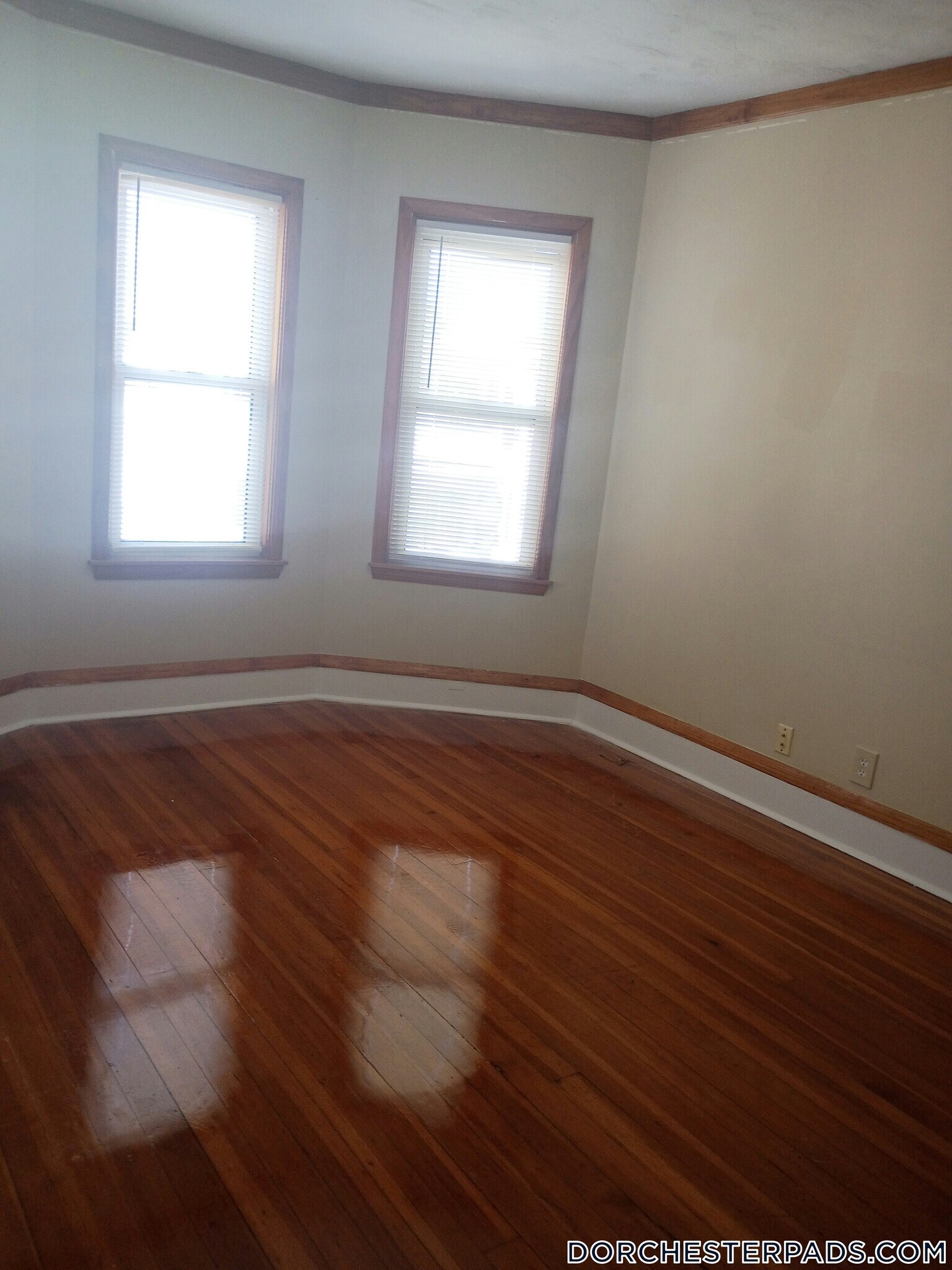 Building Photo - 53 Woolson St