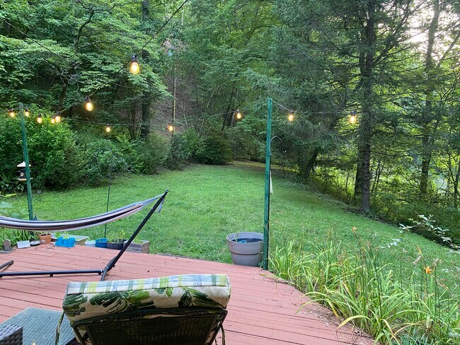 Backyard - 276 Crooked Creek Ln