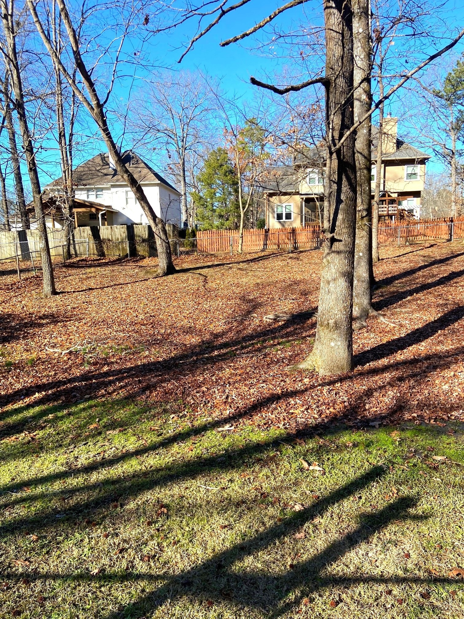 Building Photo - 336 Oak Leaf Cir