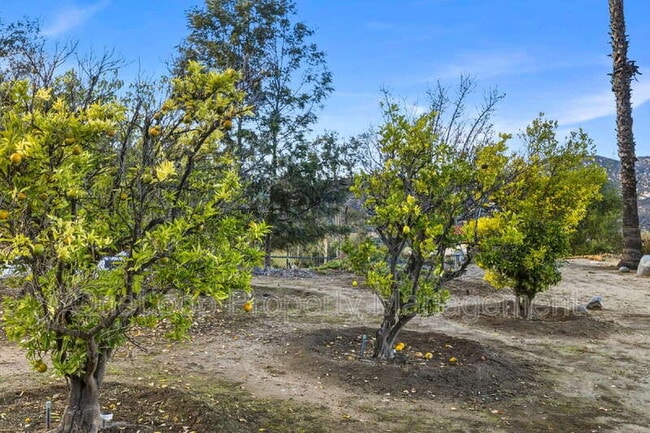 Building Photo - 493 Summerhill View