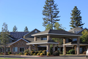 Building Photo - Paradise Boutique Apartments
