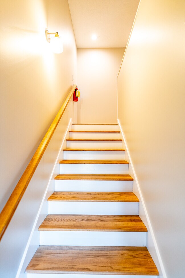 Building Photo - 1146 Pierce St