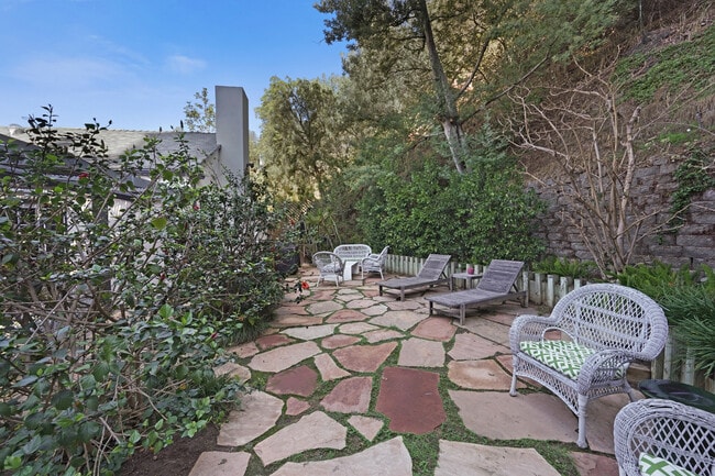 Back Yard - 1522 Forest Knoll Dr