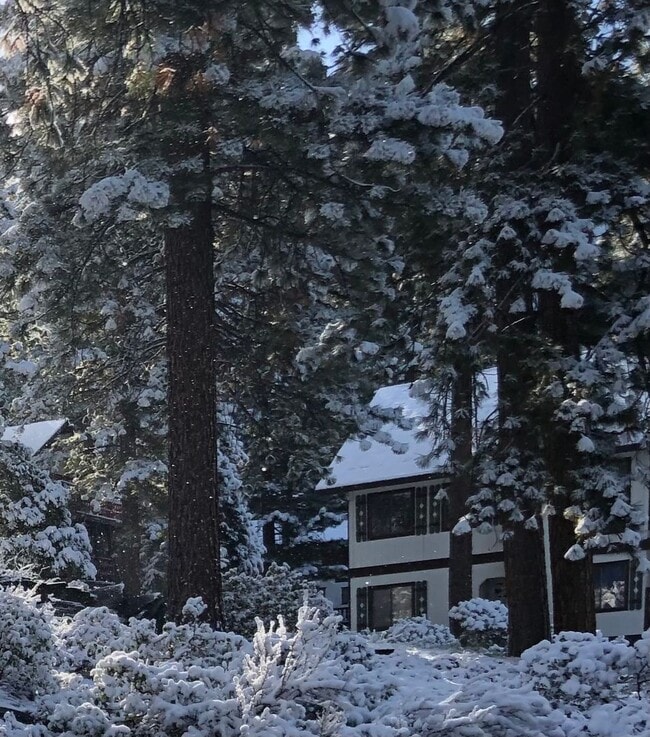 Building Photo - Winter Lease - Less than a mi to Diamond Peak (2 Bedroom plus Loft)