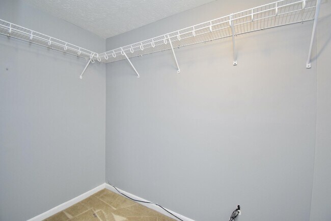 Building Photo - 5167 Elm Leaf Trail