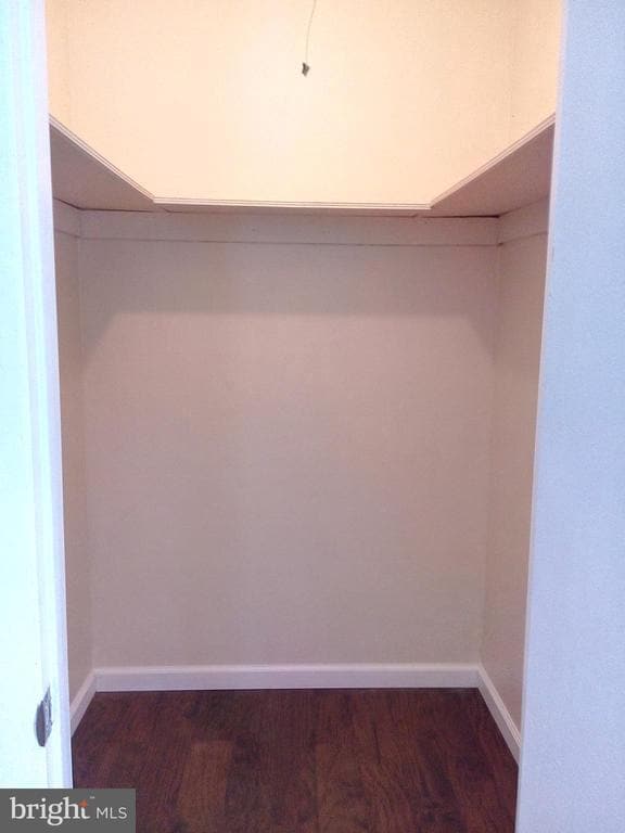 Building Photo - 313 Carleton Ln