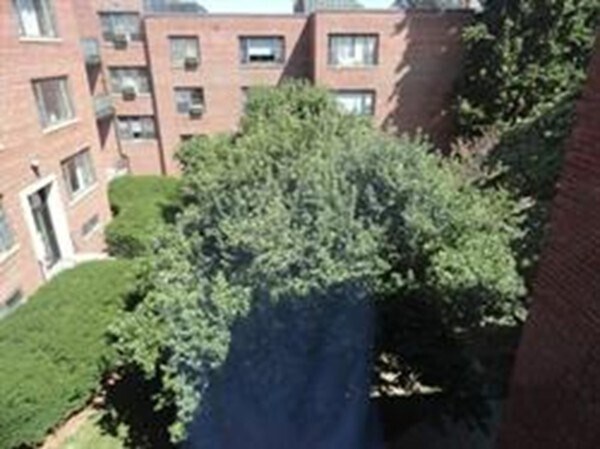 Building Photo - 57 Harvard Ave