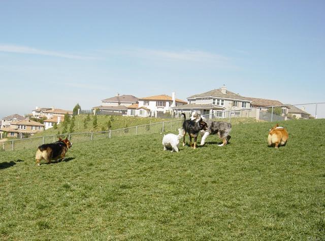 Building Photo - 1048 Quartz St