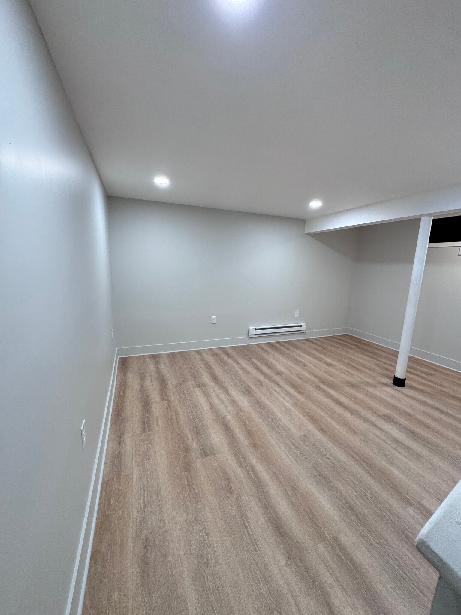 Finished Basement - 115 Ward St