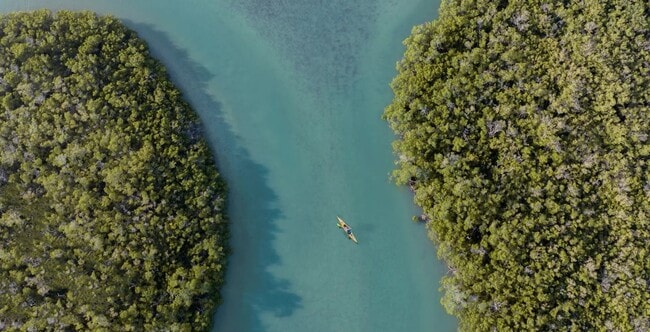 Building Photo - 2926 Diplomat Pkwy W