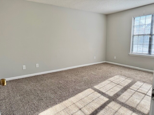 Building Photo - 1219 Brittany Dr