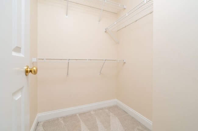 Building Photo - Move-In Ready & Updated Hampton Forest Tow...