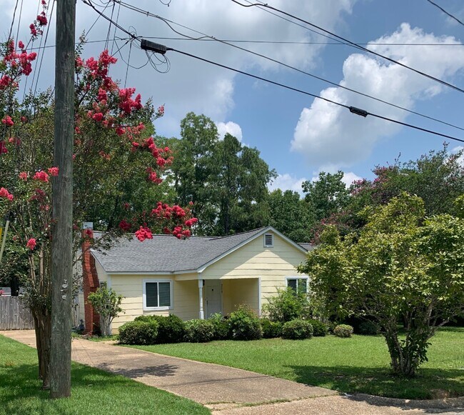 Primary Photo - 201 Connelly St