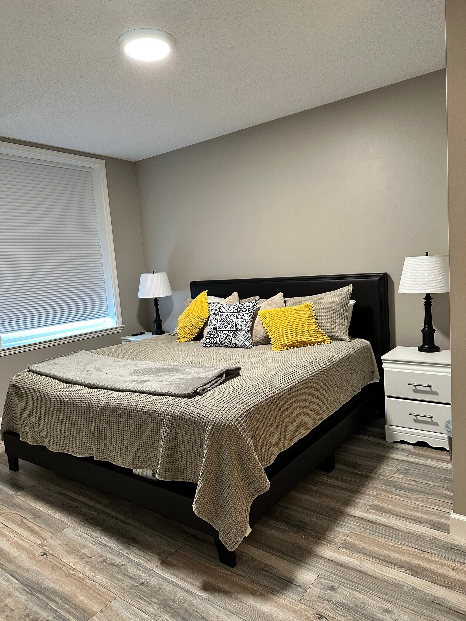 Room darkening shades - 123 N Locust St