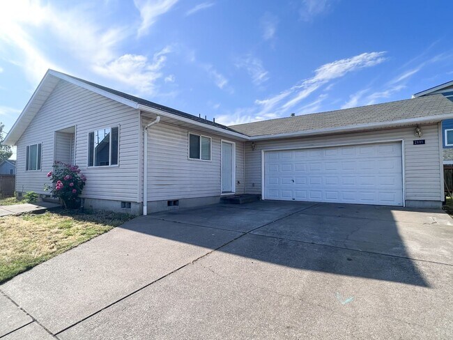 Primary Photo - OWN190