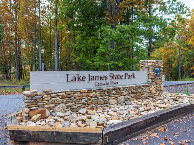 Building Photo - Stunning House w/ Amenities to Camp Lake J...