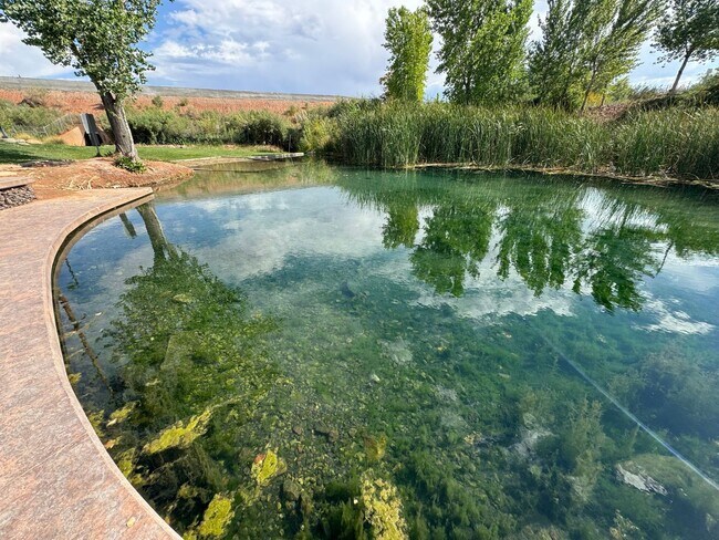 Building Photo - Millcreek Springs Townhome